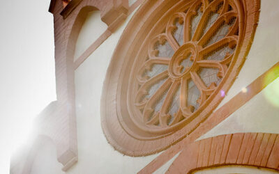 Stellenausschreibung: Koordinator*in für igeltour Dresden