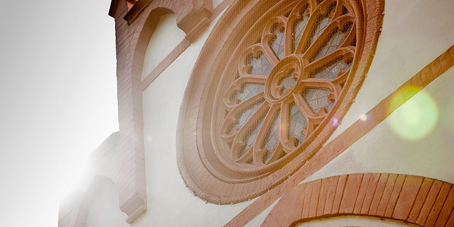 Stellenausschreibung: Koordinator*in für igeltour Dresden