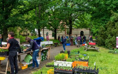 Spätsommerfest des Umweltzentrums mit BBB-Pflanzenausgabe