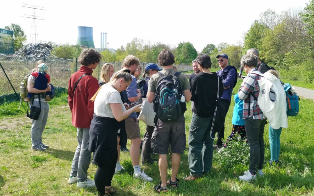 Frühlingsspaziergang entlang des Lockwitzbachs in Laubegast