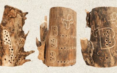 Kunstwettbewerb im Projekt BienenBrückenBauen – Künstlerische Nisthilfen für Wildbienen