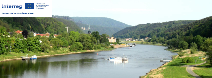 Auwaldpflege in der Elblache Stetzsch
