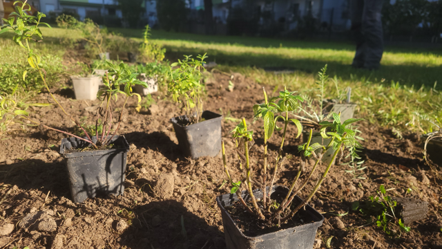 Kleiner Rückblick zu unserer Maßnahmenumsetzung