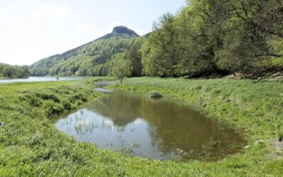 Jetzt anmelden! Kontaktseminar “Naturschutz ohne Grenzen”