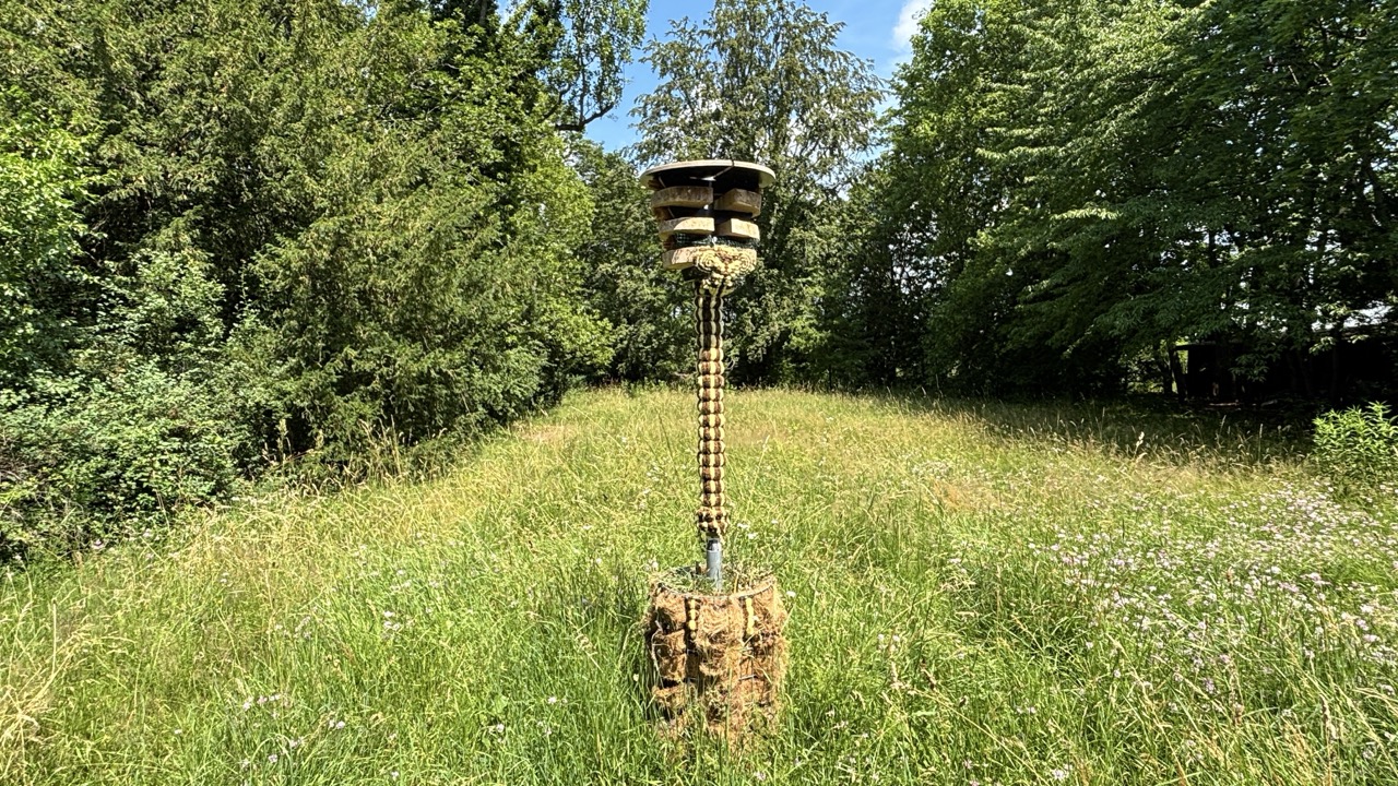 Groß (IMG_9039)