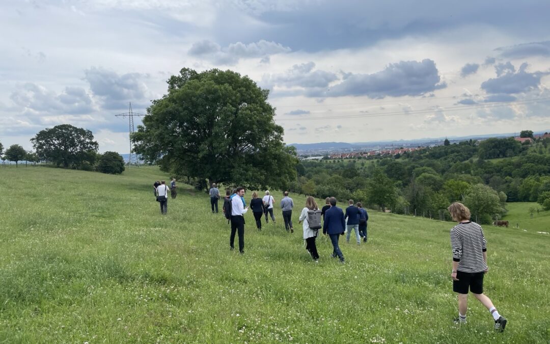 Naturschutzgroßprojekt DresdenNATUR lädt zur Online-Umfrage ein