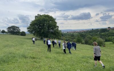 Naturschutzgroßprojekt DresdenNATUR lädt zur Online-Umfrage ein