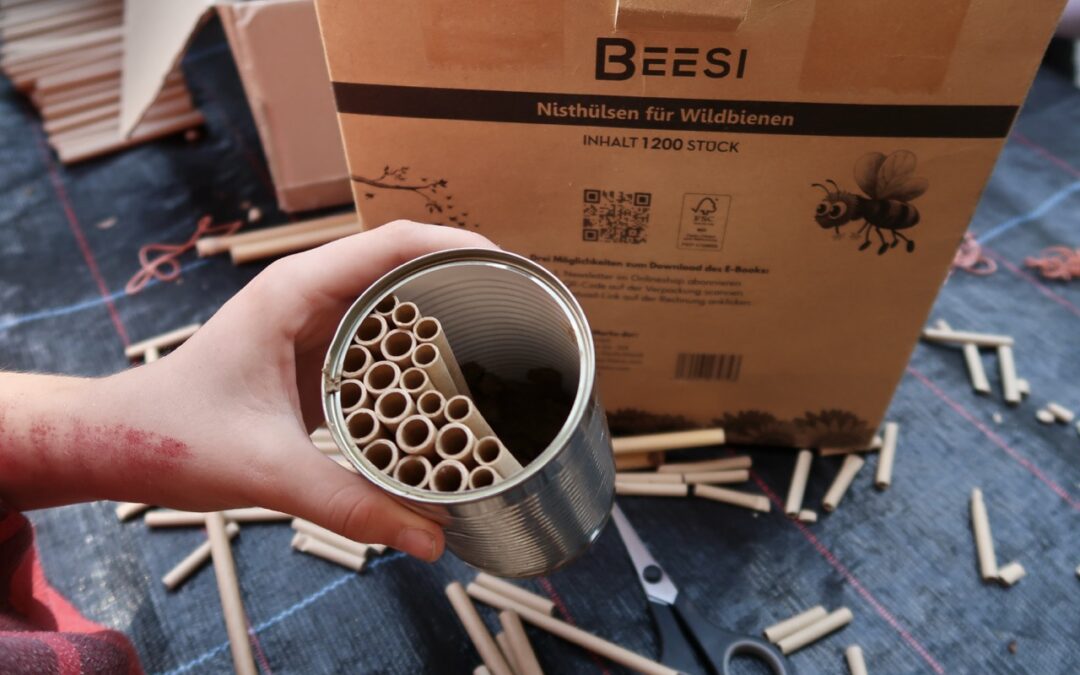Wilder Familiennachmittag »Nisthilfen bauen für Wildbienen«